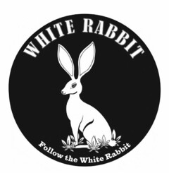 WHITE RABBIT FOLLOW THE WHITE RABBIT