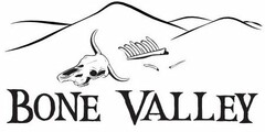 BONE VALLEY