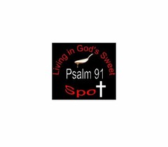 LIVING IN GOD'S SWEET PSALM 91 SPOT