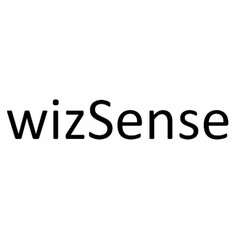 WIZSENSE