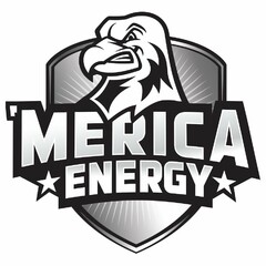 'MERICA ENERGY