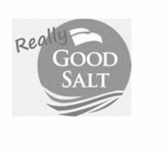 REALLY GOOD SALT