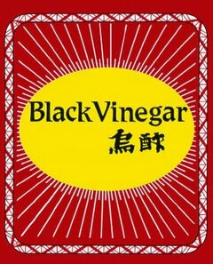 BLACKVINEGAR