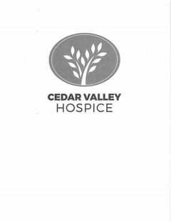 CEDAR VALLEY HOSPICE