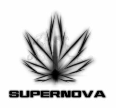 SUPERNOVA