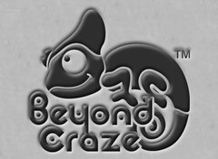 BEYOND CRAZE