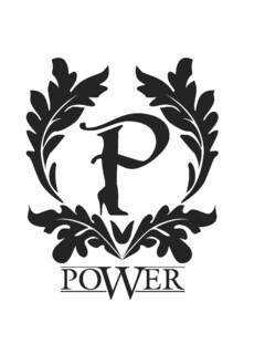 P POWER