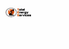 TOTAL ENERGY SERVICES