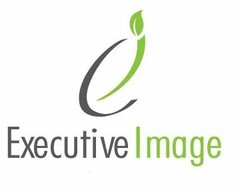 E EXECUTIVE IMAGE