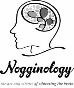 NOGGINOLOGY THE ART AND SCIENCE OF EDUCATING THE BRAIN