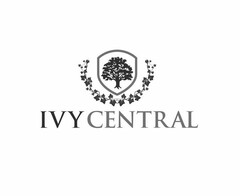 IVY CENTRAL