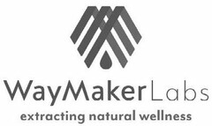 WAYMAKER LABS EXTRACTING NATURAL WELLNESS