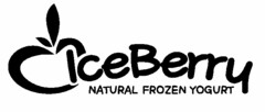 ICEBERRY NATURAL FROZEN YOGURT