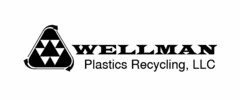 WELLMAN PLASTICS RECYCLING LLC