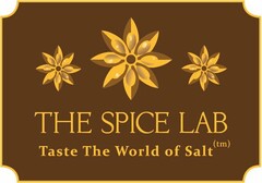 THE SPICE LAB TASTE THE WORLD OF SALT