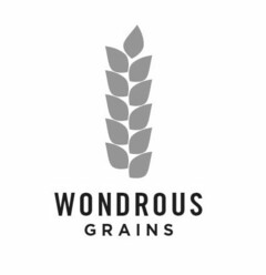 WONDROUS GRAINS