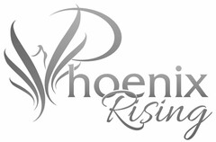 PHOENIX RISING