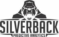 SILVERBACK PREDICTIVE ANALYTICS