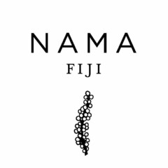 NAMA FIJI