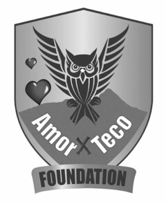 AMOR X TECO FOUNDATION