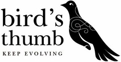 BIRD'S THUMB KEEP EVOLVING