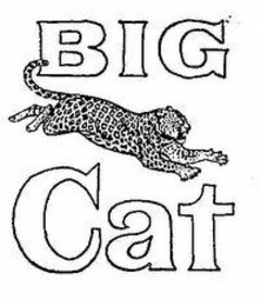 BIG CAT