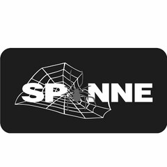 SPINNE