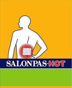 SALONPAS HOT