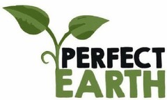 PERFECT EARTH