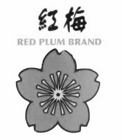 RED PLUM BRAND