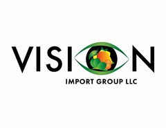 VISION IMPORT GROUP LLC