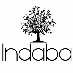 INDABA