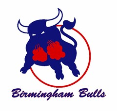 BIRMINGHAM BULLS