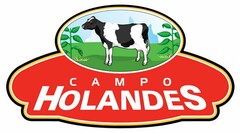 CAMPO HOLANDES