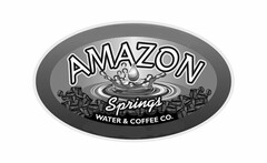 AMAZON SPRINGS WATER & COFFEE CO.