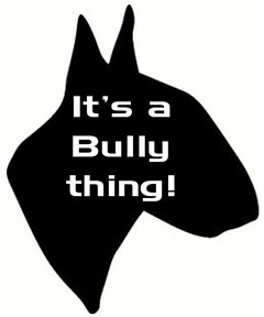 IT'S A BULLY THING!