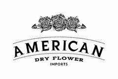 AMERICAN DRY FLOWER IMPORTS