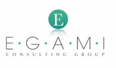 E E  G  A  M  I CONSULTING GROUP