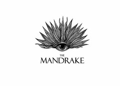 THE MANDRAKE