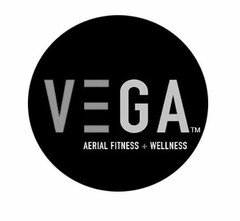 VEGA AERIAL FITNESS + WELLNESS