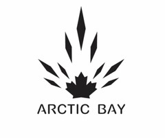 ARCTIC BAY