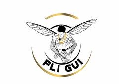 FLI GUI