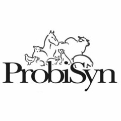 PROBISYN