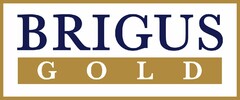 BRIGUS GOLD