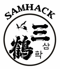 SAMHACK