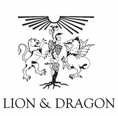 LION & DRAGON