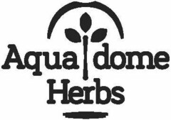 AQUA DOME HERBS