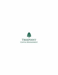 TREEPOINT CAPITAL MANAGEMENT