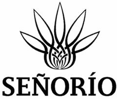 SEÑORÍO