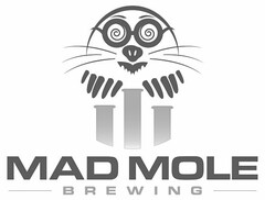 MAD MOLE BREWING